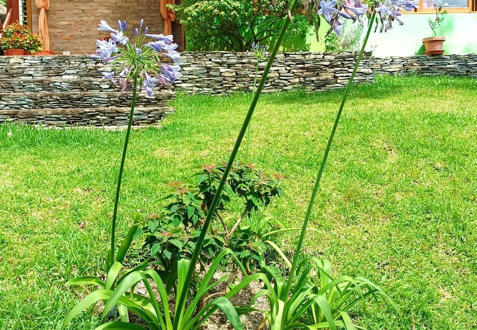 Ferienwohnung Mi Hogar Jarabacoa Privatunterkunft